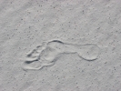 PICTURES/White Sands National Monument/t_White Sands - Big Foot.jpg